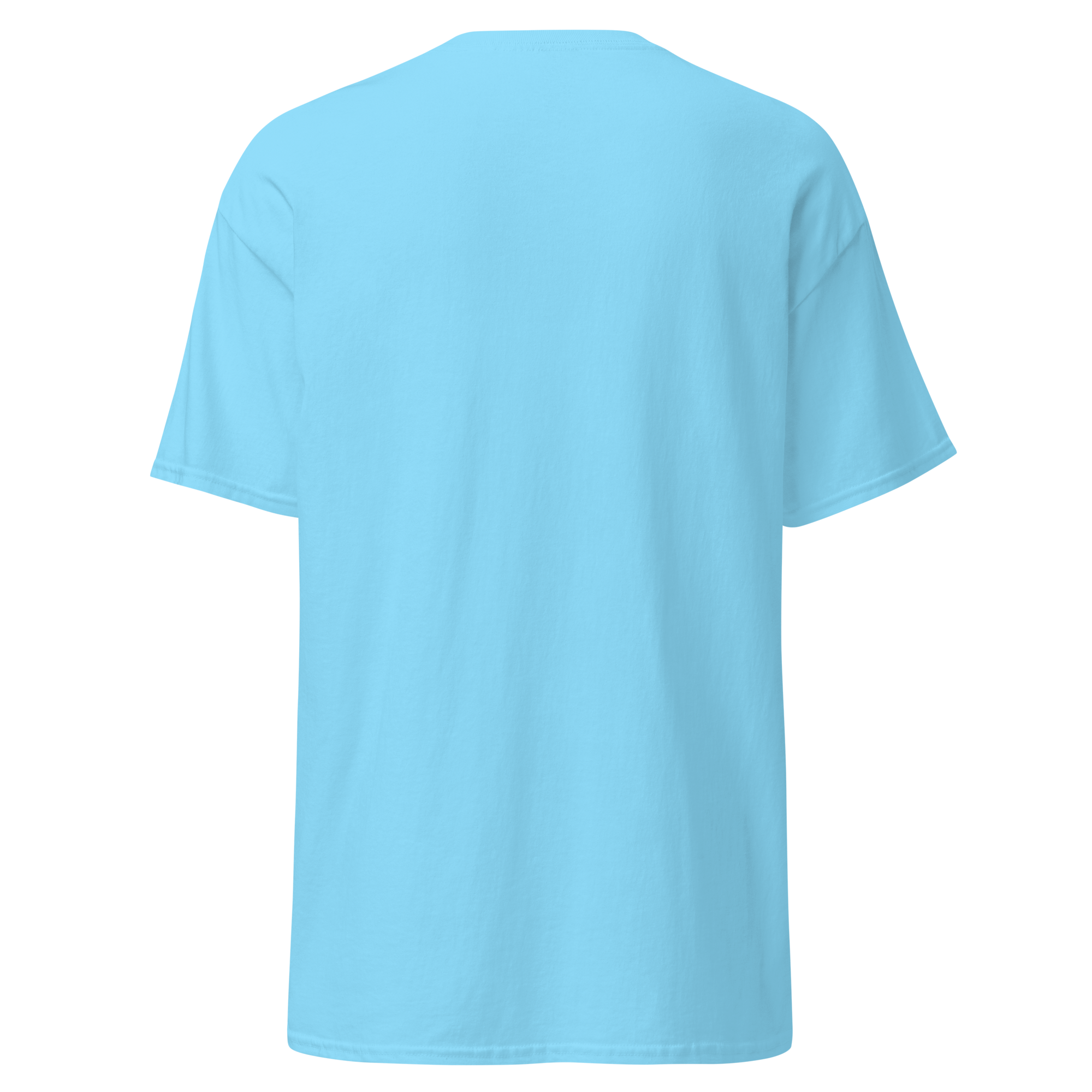 Stars Tee — Blue back